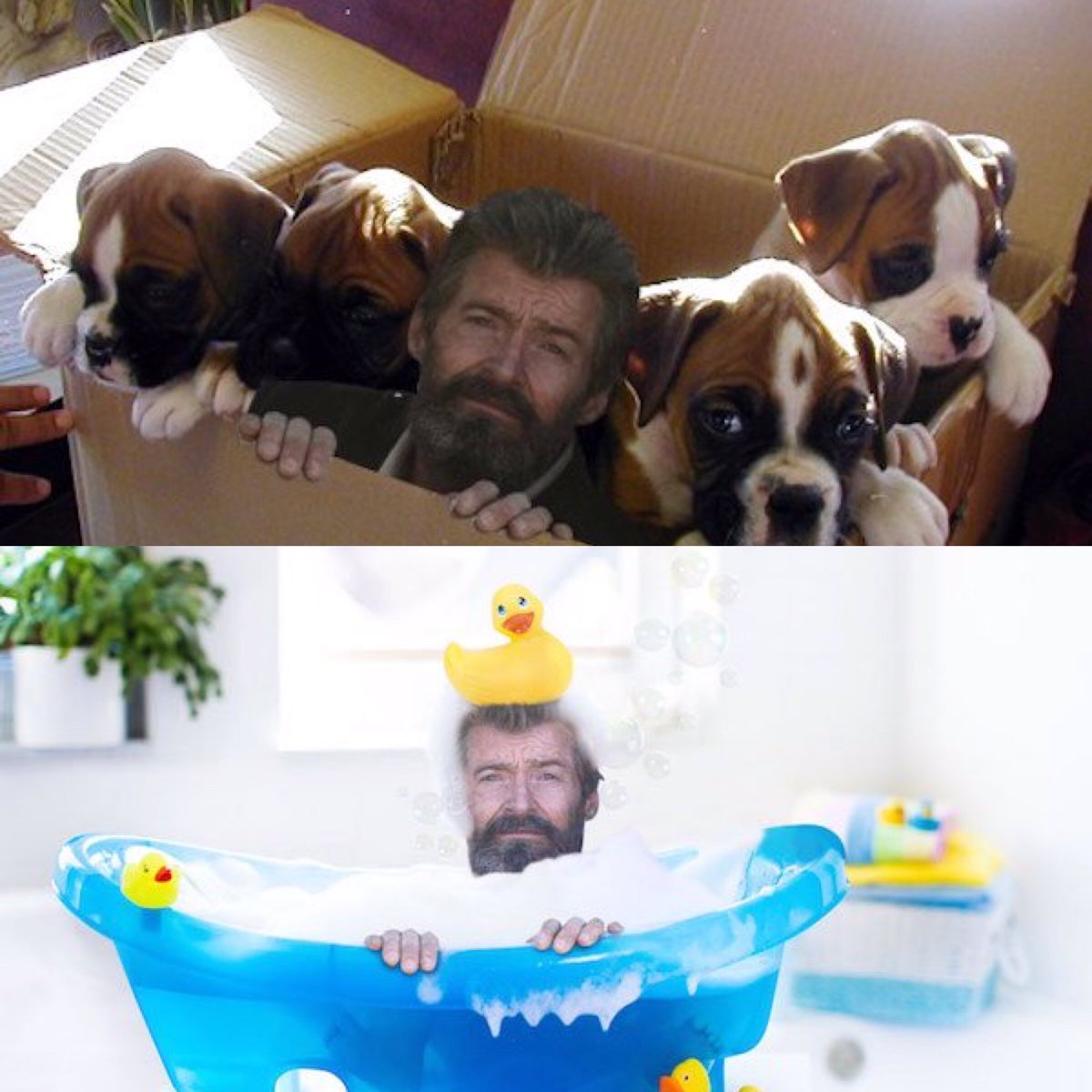 iamgeekingout's tweet image. When 'Sad Logan' gets the meme treatment