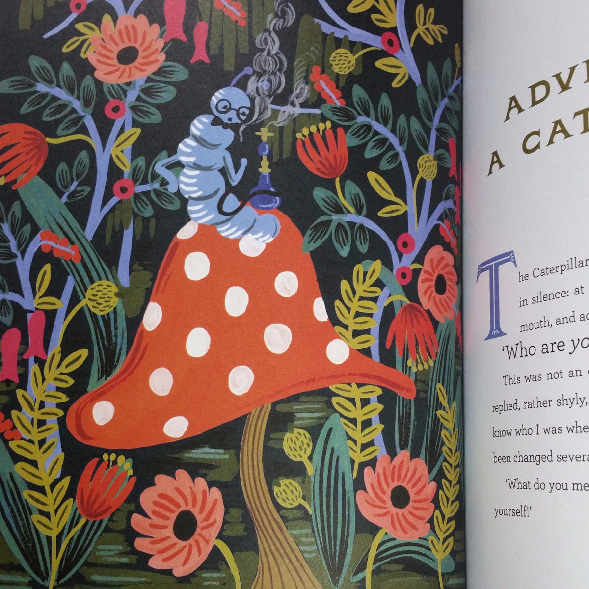 Picoroco Alice S Adventures In Wonderland Puffin ライフルペーパーというステーショナリーブランドを展開しているanna Bondのカラフルでお洒落なアリス イラストが可愛くて楽しめます アリスの困り顔がよい 不思議の国のアリス T