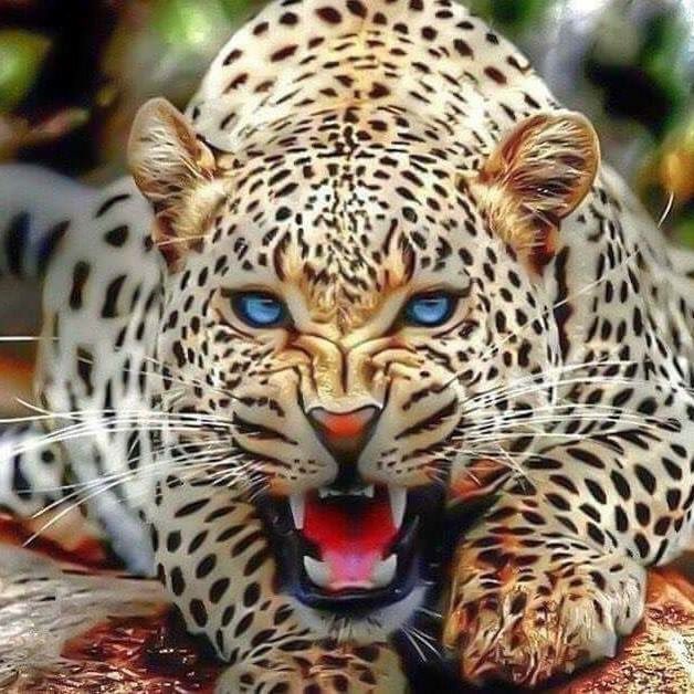 planterose03's tweet photo. @juanpach_wolf @k_edwa @Claudin53662834 @fritz79art @IlI_l0 @amoloslobos @jeanclaudelafo1 @SKID1144 @Escorpin13 @rajesh6363 https://t.co/TQIr7etEJT