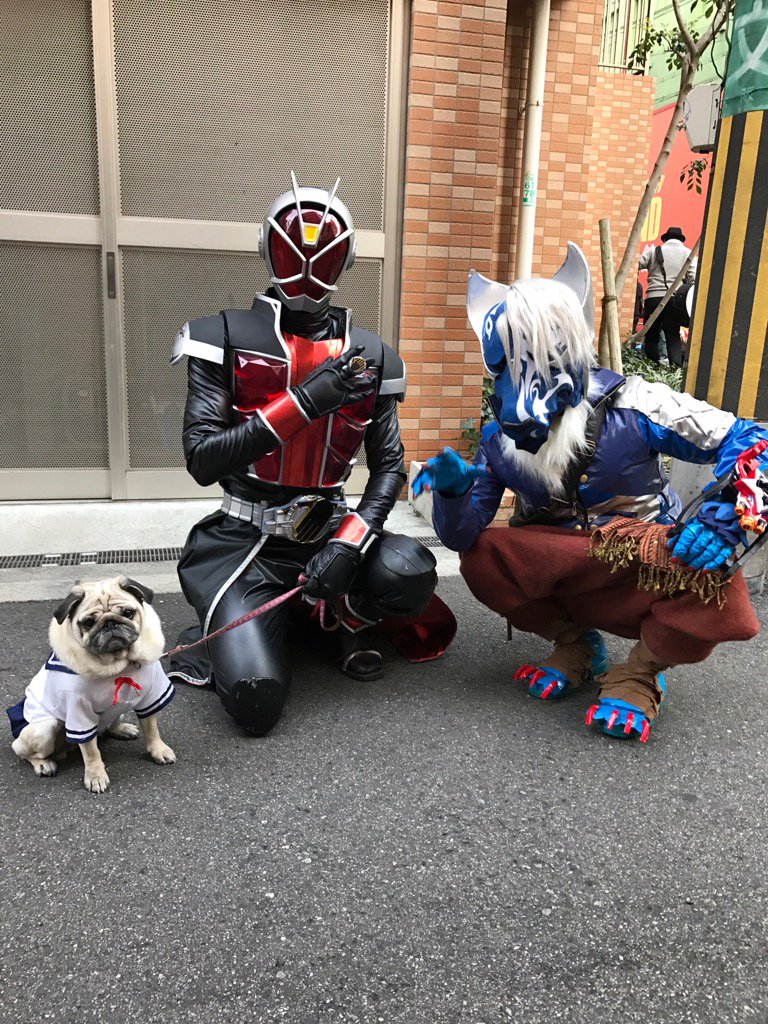セーラー服のパグ犬ベルさん ドギーマン Auf Twitter 今年もお会いできました仮面ライダーウィザードさんとキュウレンジャー さんと ストフェス 犬 パグ ベル セーラー服 仮面ライダーウィザード キュウレンジャー