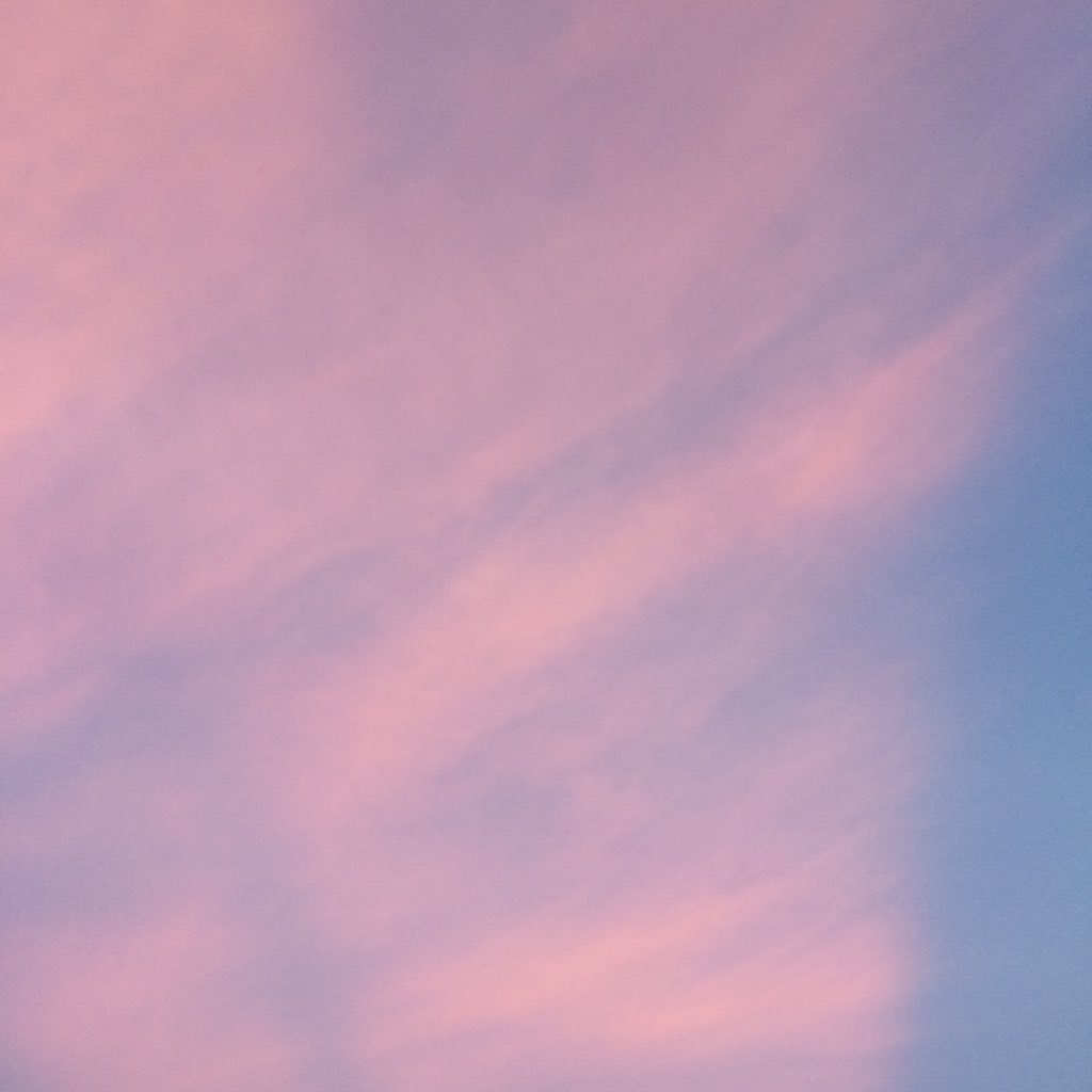 blue—summer tweet media