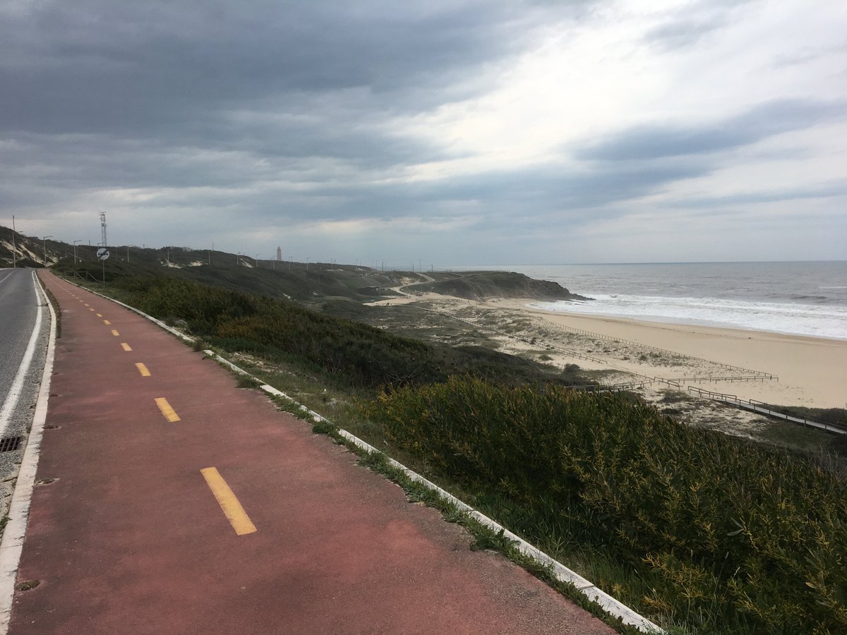 Andy Bartlett tweet media