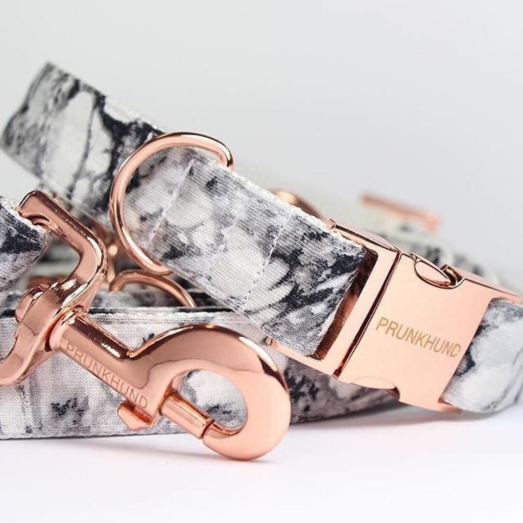 SWLondonDogs's tweet image. I found these collars via @dogmilk #regram - they may as well be straight from the pages o… ift.tt/2nnuPTb