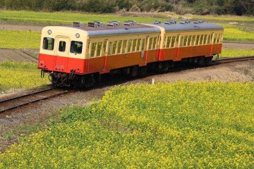 小湊鉄道の菜の花や桜の22年見頃や開花状況は 撮影スポットやアクセスや駐車場は そらいろ 日本が魅せる多彩な表情