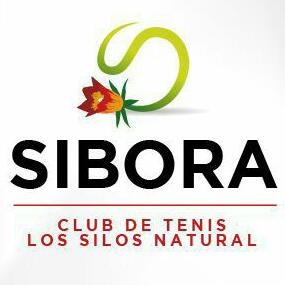 clubtenissibora's tweet photo. Campeonato Júnior de Tenerife
Hoy en @TENISSIBORALS @ayto_lossilos 
11;00
Álvaro Arce vs Alberto Diaz
Marta Pérez vs Mila Saric https://t.co/AJGhZWP2jT