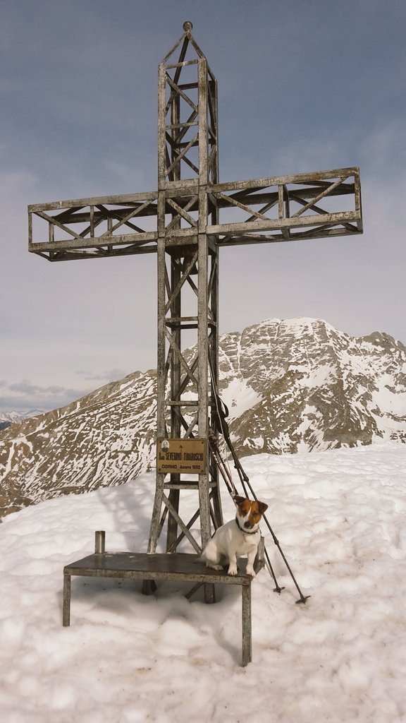 ALBERTO_1977_'s tweet photo. #MonteGrem #2049mt @Orobiando @altobrembo @inter_valli @TurismoBergamo @OrobieAlps https://t.co/DPS69UDSWY