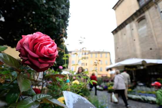 BPER_Banca's tweet photo. C'è aria di #primavera. Per #modenainfiore un tappeto di colori e profumi con 140 stand nel cuore del centro storico https://t.co/huVywiwdp2