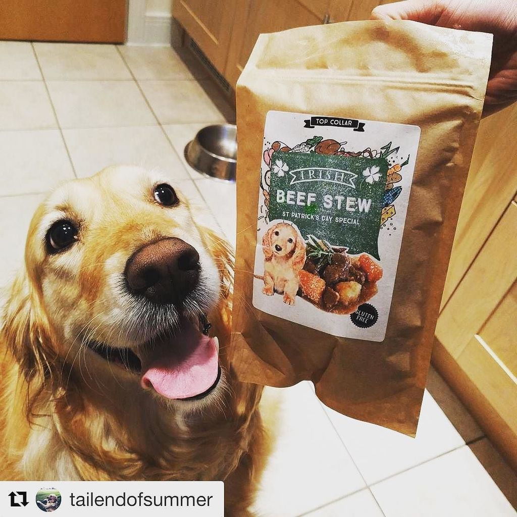 TopCollar's tweet photo. I will happily take those treats off your hands human! 
Follow us for awesome dog treat of… https://t.co/uxxQc5hrro https://t.co/SEVb3NvTTq