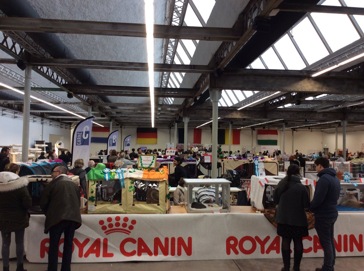anim_happy's tweet photo. C'est parti pour la deuxième journée de Salon ! #chat https://t.co/OuECG9ZsCs