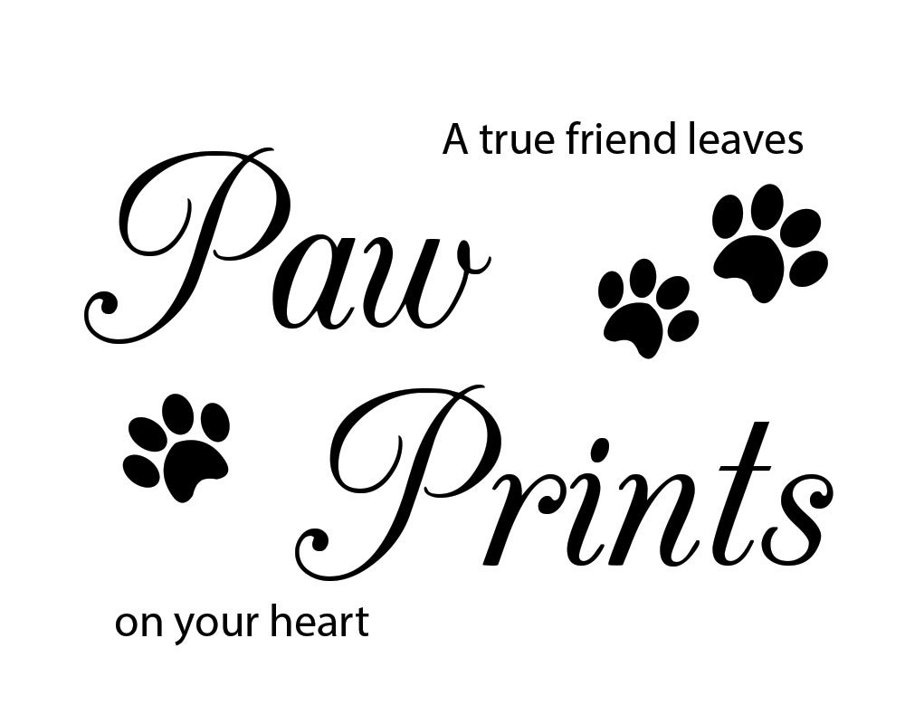 PET WALL STICKERS #pets #animals #Petlove #Caturday #cats #catlover #DogLover #ebay #dogfriends #homedecor #family  ebay.co.uk/itm/1623072223…