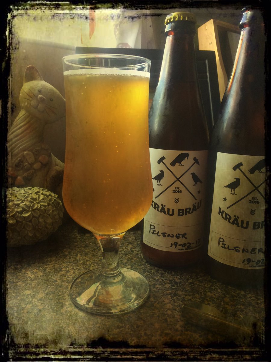 1st batch of <a href="/KrauBrau/">KRÄU BRÄU ®</a> #KBPulsner tasted (&amp; drank up...) 🍻#homeBREWEDcraftBEER