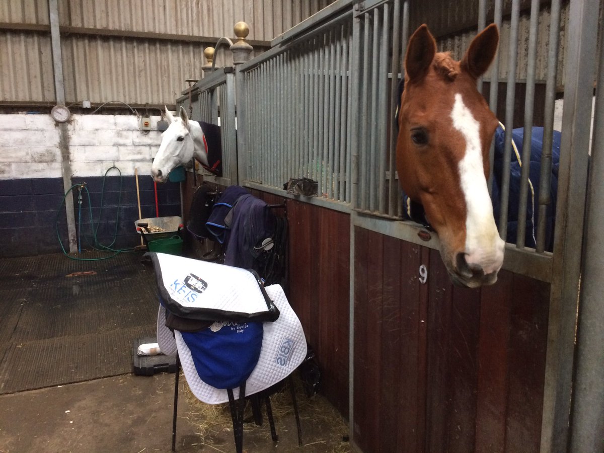 Boys ready for action at the <a href="/nirvanaspa/">Nirvana Spa</a>  para winter dressage champs! <a href="/KBISInsurance/">KBIS Insurance</a>