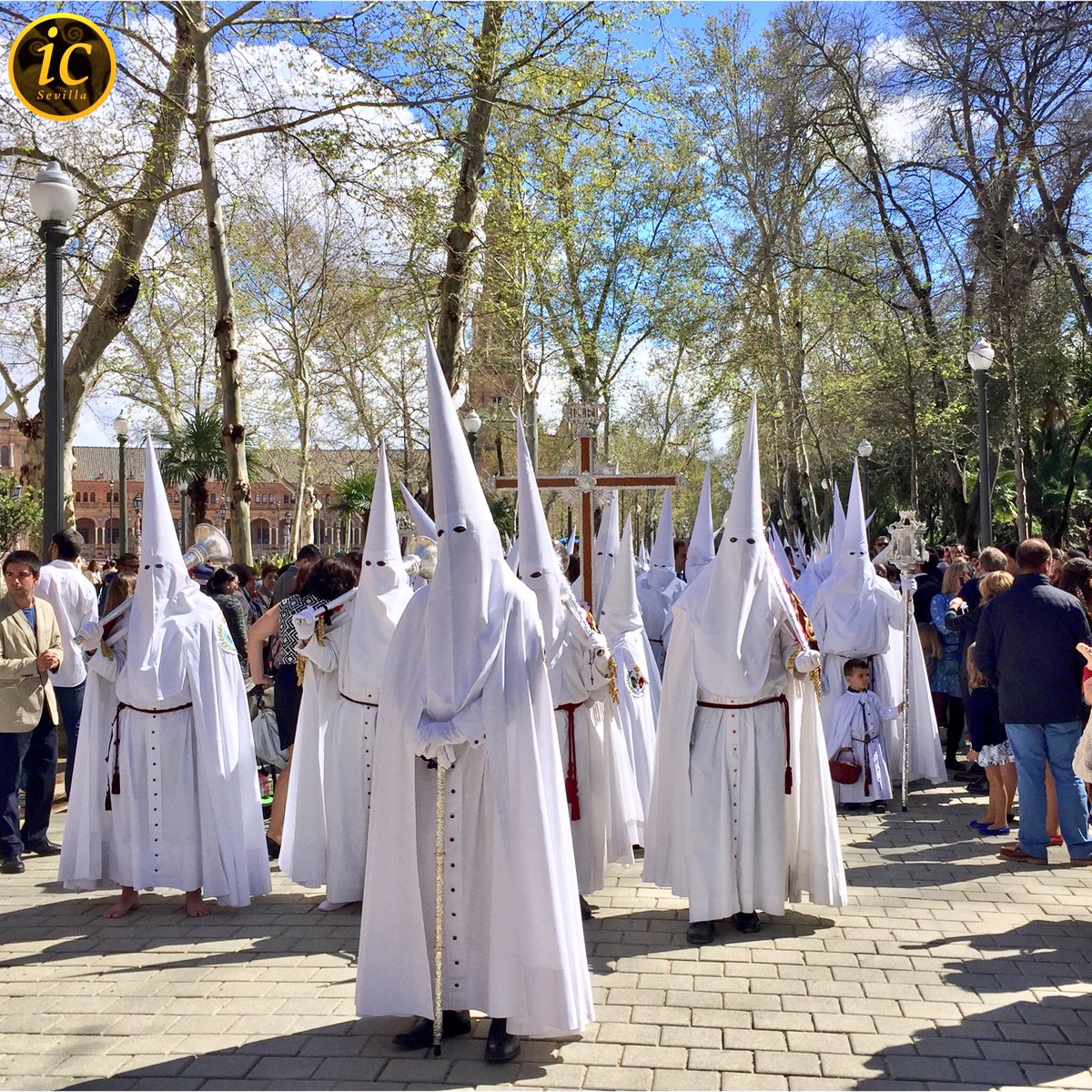 info_cofrade's tweet photo. ¡Buenos días!
En apenas 3 semanas será de nuevo Domingo de Ramos. #CuentaAtrás #SeAcabaLaEspera @HermandadPaz https://t.co/4Ep7pHB7uA