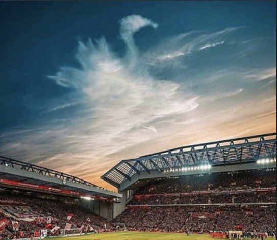 empireofthekop's tweet photo. Liverbird in the sky. What a photo! ❤️ https://t.co/eParHbYbSY