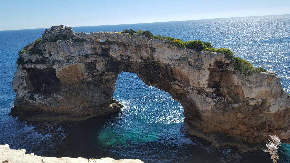 reisdemallorca's tweet photo. #alwaysMallorca | Good morning! Places with #character, like our partners #espontas https://t.co/3oAIil6x8R