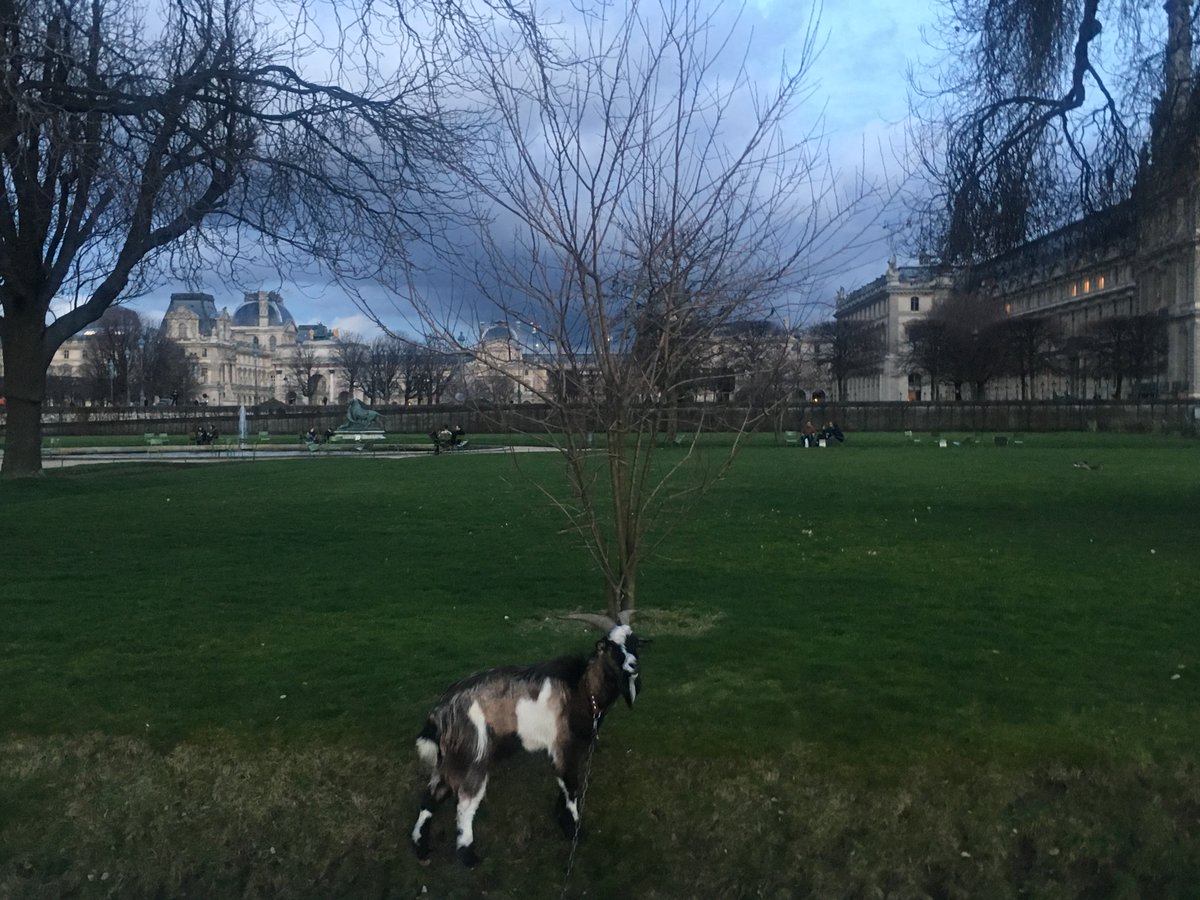 PostTrip's tweet photo. Ma biquette a fugué et s'est perdue à #Paris... Si vous la croisez, contactez svp un #PostTripeur qui pourra me la ramener en #Normandie :-) https://t.co/y14GBfzGDp