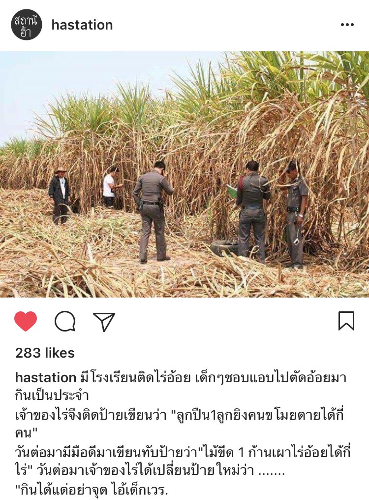heymeku's tweet photo. ขำ 55555555555555 https://t.co/kp2gblyxUb