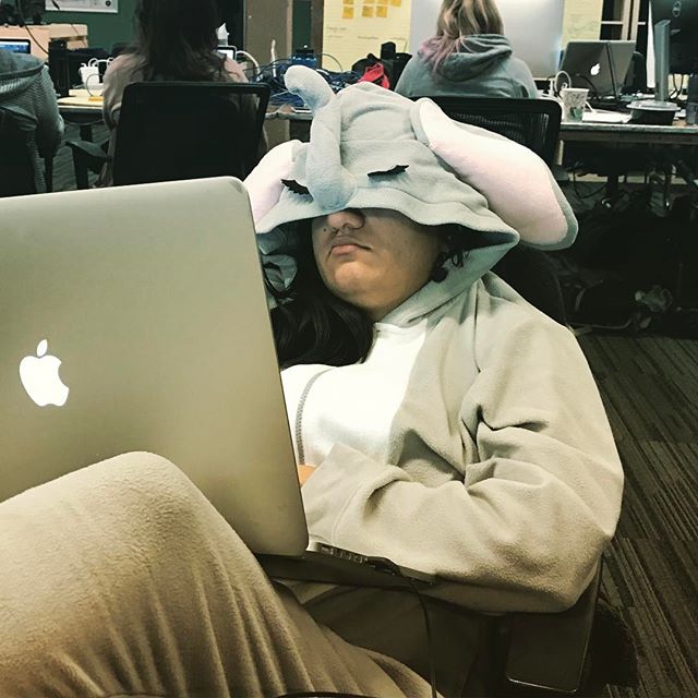 Seven hours later… #🐘 #webchallenge #teamsprout