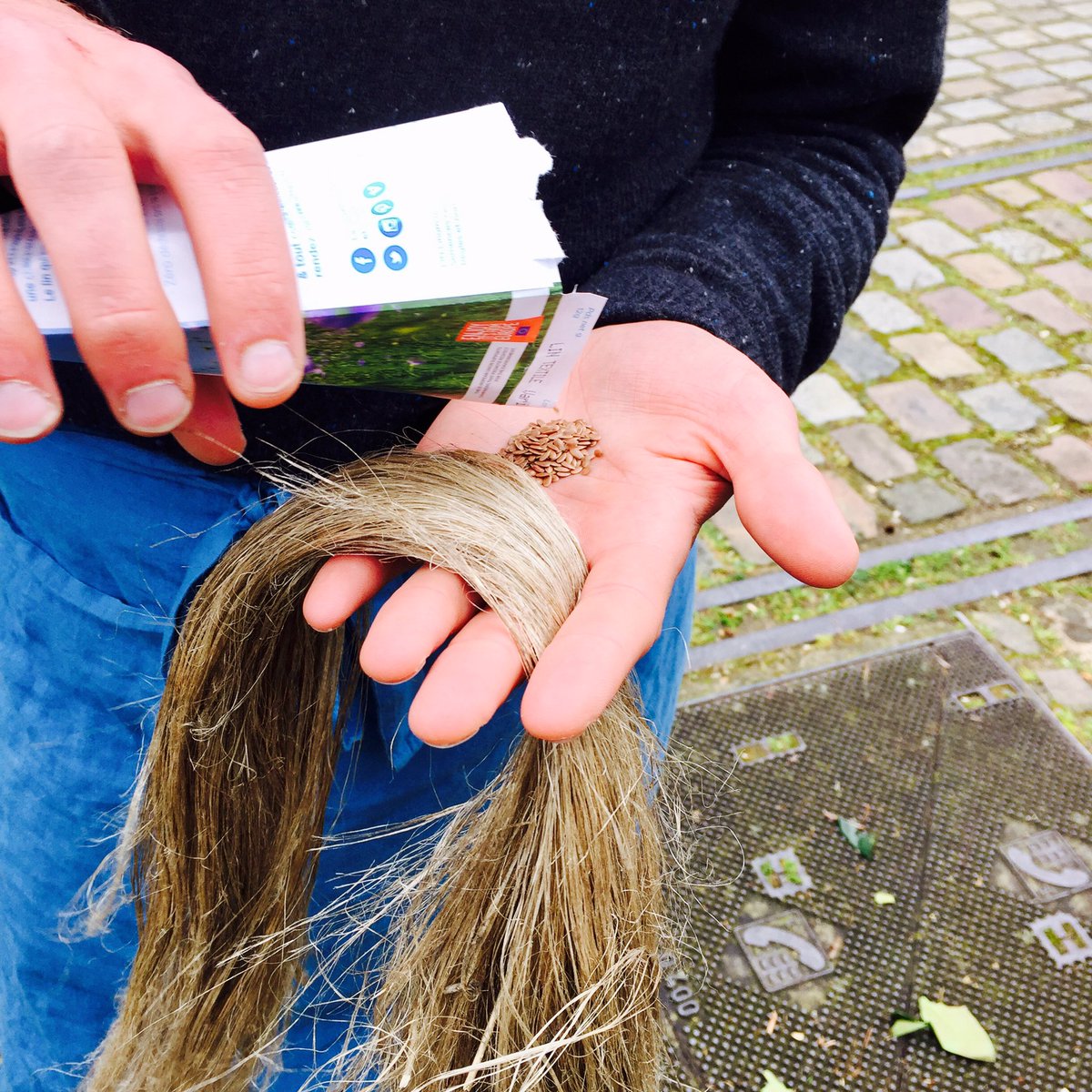 flaxlinenhemp's tweet photo. #LeSaviezVous ? Pour semer du #lin, il faut 2000 graines au m2. Soit environ 110 à 120 kg à l'ha. #jaimelelin #agriculture #europeanflax https://t.co/VCWQqWlmuW