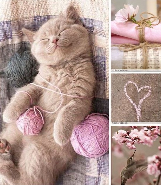 Likewise💞🌷<a href="/DreamKissyo/">Fumiko.Uesugi</a> @nevoghazal <a href="/Natanaelmiangel/">Lolett y Natanael</a> <a href="/andyshutnt/">Andy Shu</a> @JenTillman66 <a href="/windiyoktavian1/">windiy oktaviani</a> <a href="/dazerac/">Luna-C & Angel-SM</a> <a href="/lilian8090/">Lilian2020</a> <a href="/hna631/">ام ريان</a> <a href="/marizulca/">Marisol ❤</a> Xo🌸💋