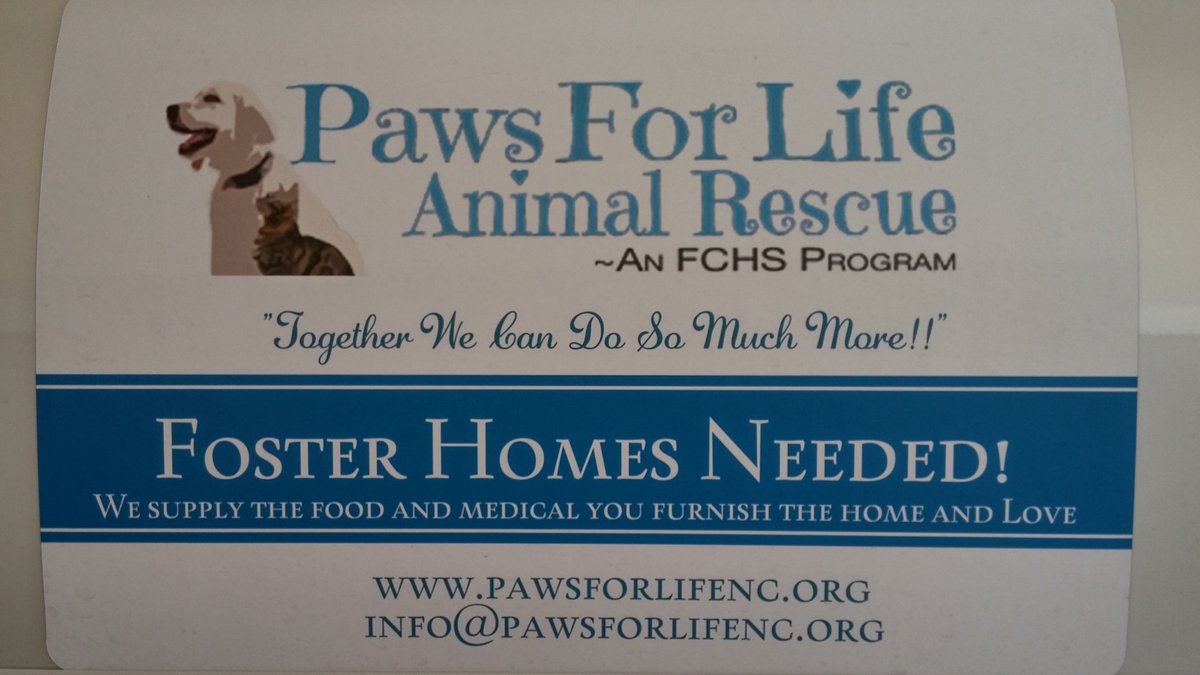 Susan Decker tweet media