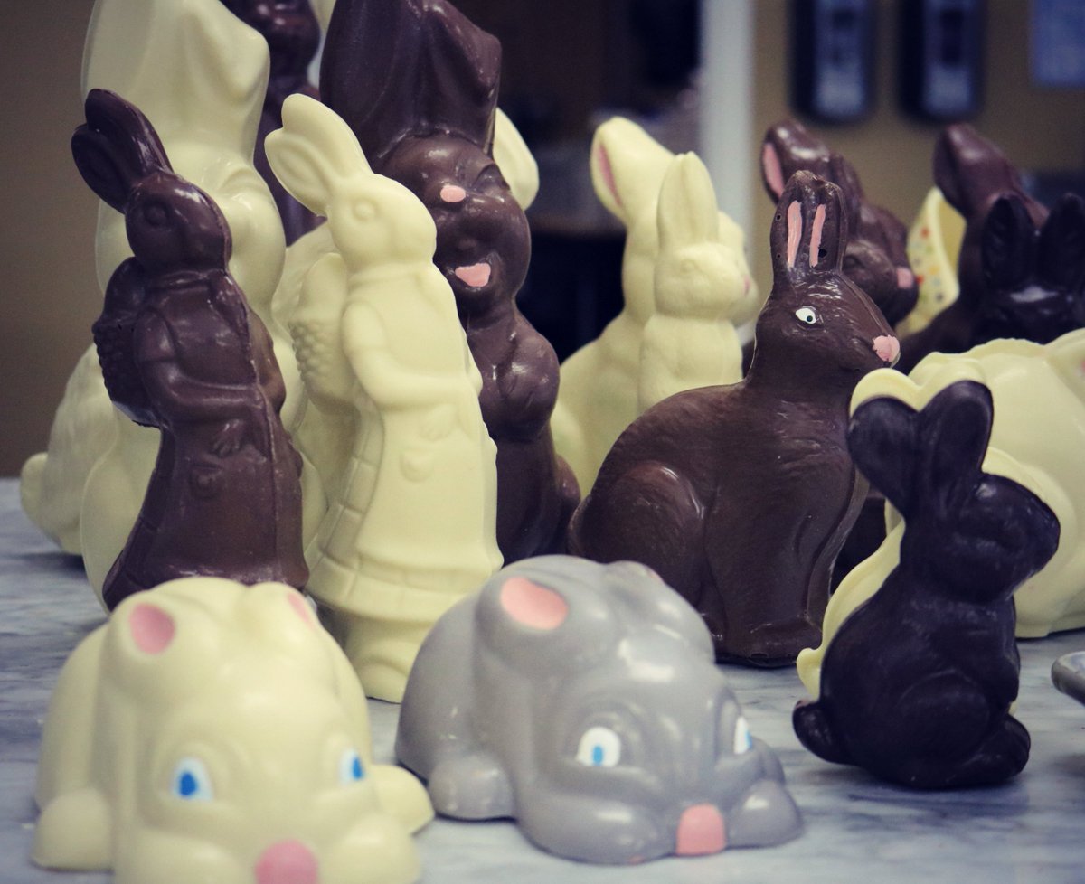 Choco_Compass's tweet photo. You can never go wrong with #Chocolate #EasterBunny! Stop by and choose your perfect one! #sanford #eastertreats https://t.co/Vwt2AIypNl