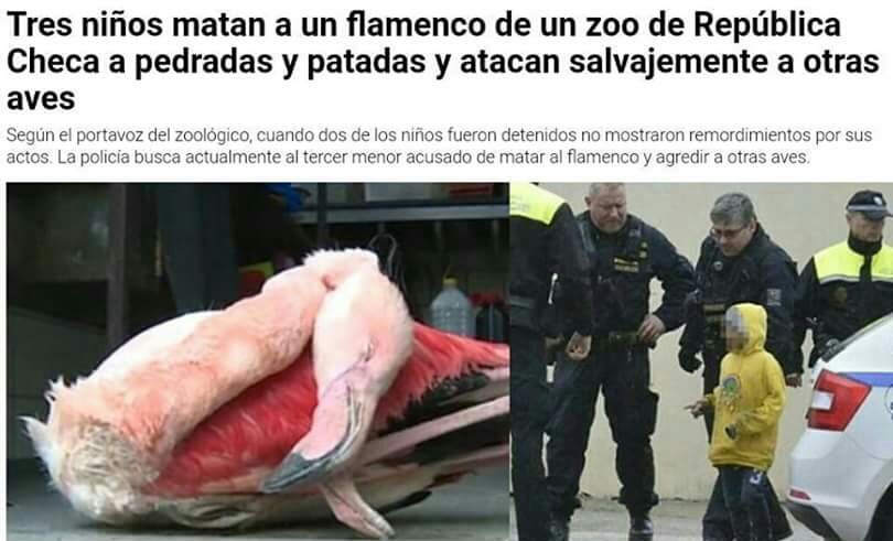 alertantiespec's tweet photo. ¿Todavía crees que los zoos existen para proteger a los animales? https://t.co/kL9qjdeP7O