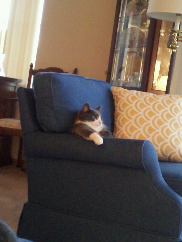 "What are your plans for the day?"
Me:
 #SundayMorning