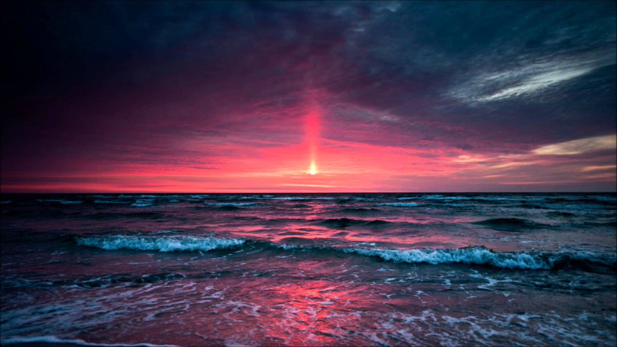 TreeOfGnosis tweet picture
