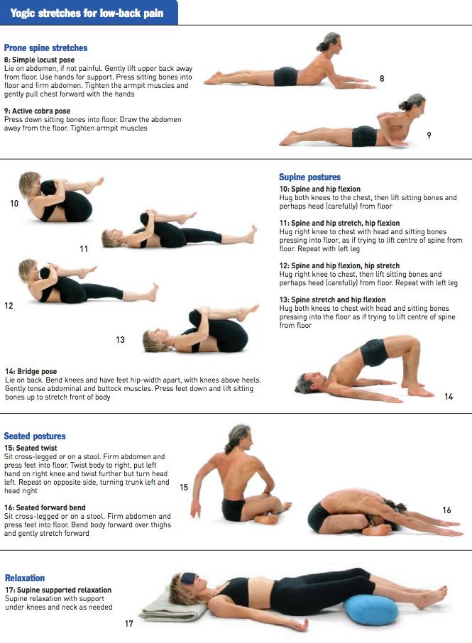 AHealthBlog's tweet photo. #Yoga is useful for improving symptoms of back pain  ➡ https://t.co/LdHtm8nJ0F https://t.co/eCyuF7uABs