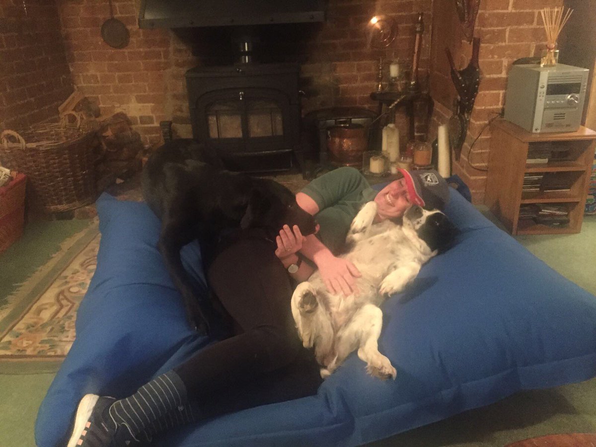 JDPsychology's tweet photo. Fab weekend of training and spaniel cuddles with @pennysangster #Thankyou #EventingPrep https://t.co/dnr42qAv5x