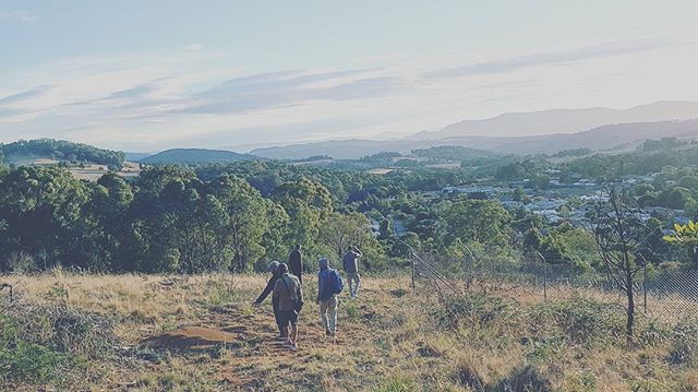 Batlow CiderFest tweet media