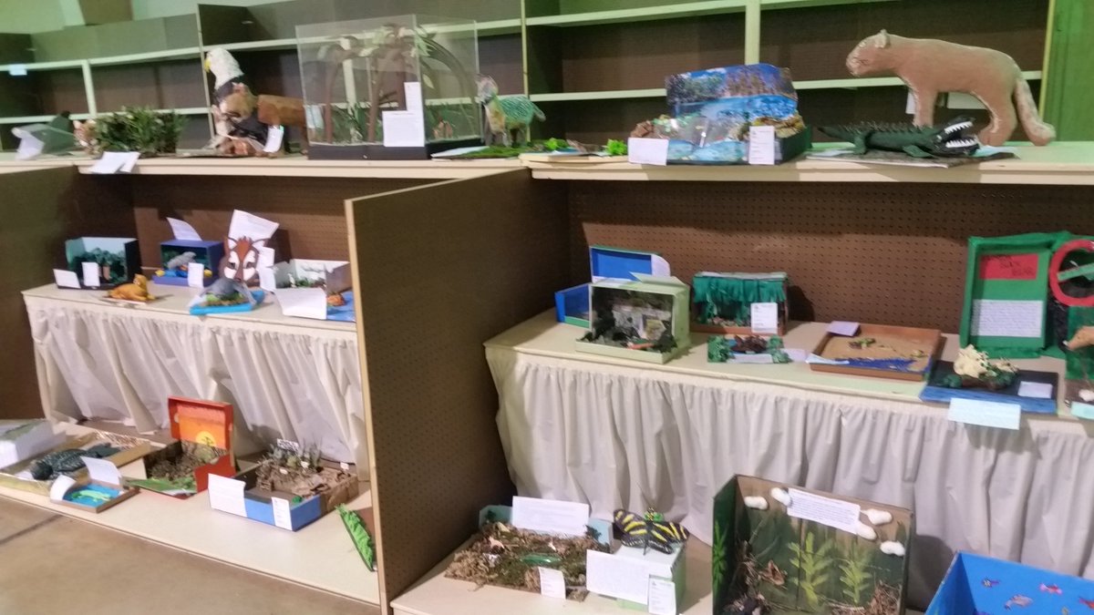 PorzioAmy's tweet photo. Miami Dade Fair! @HDMcMillan is in the house- over 60 Nature Center projects - outstanding work Panthers https://t.co/tJzZQhUNnd