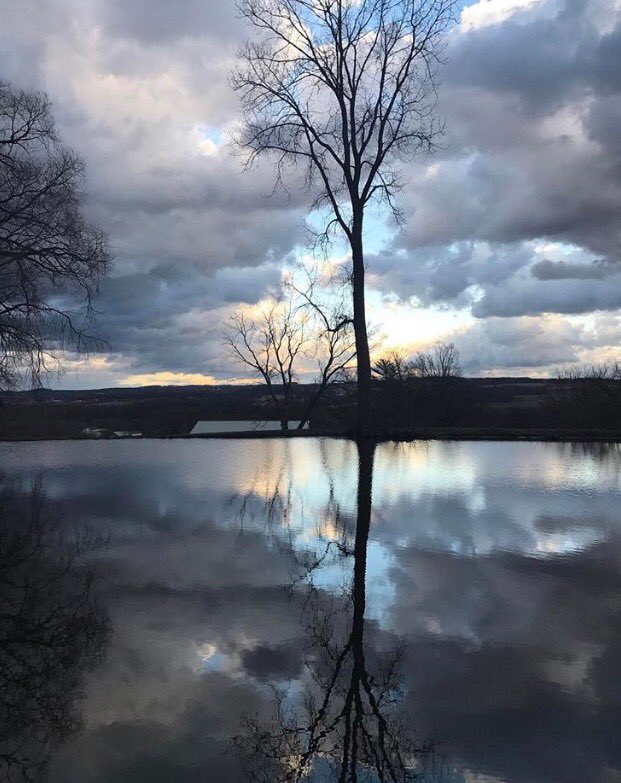 The rapture of morning broken in 2