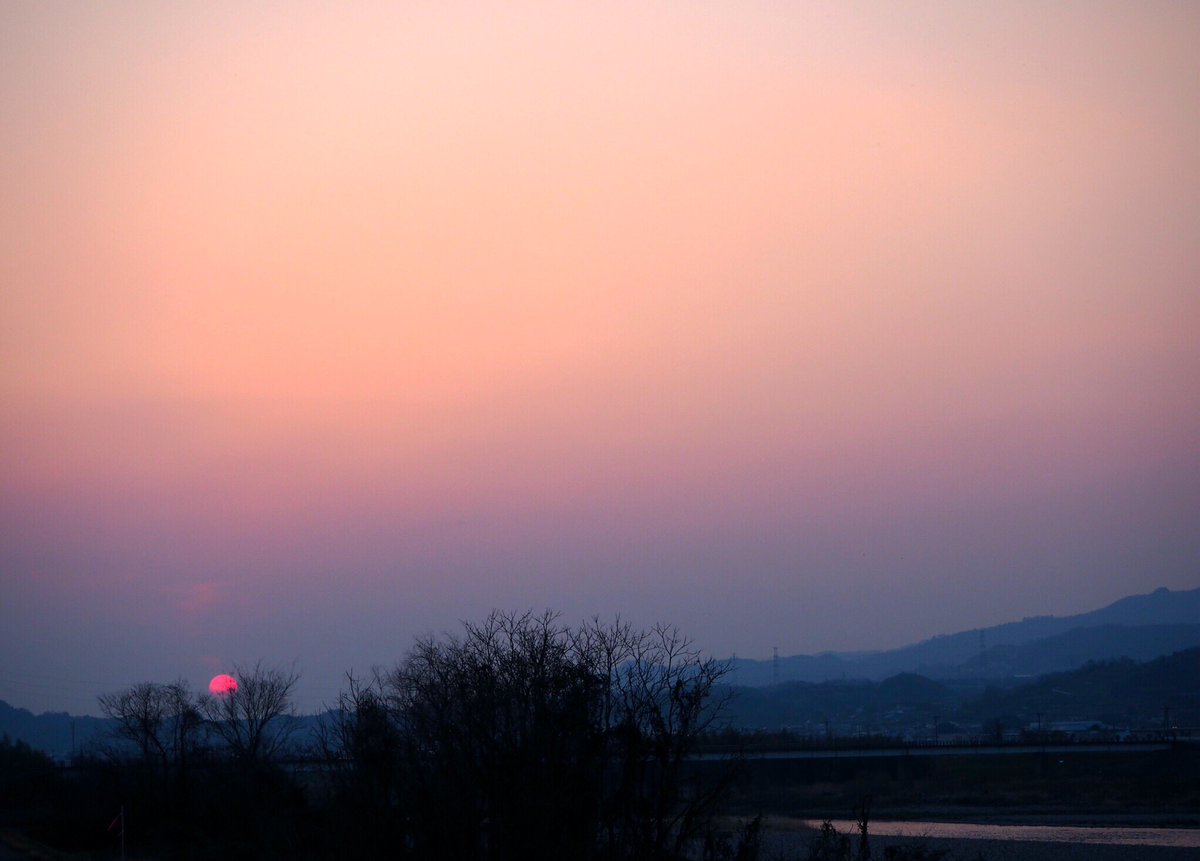 Pink奇妙な夢 Pink奇妙な夢