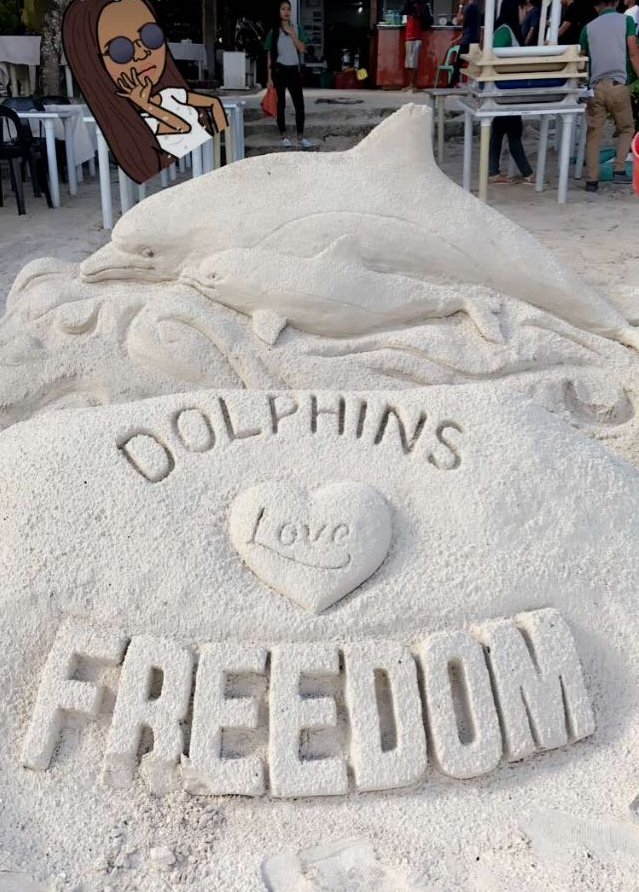 JazzyDolphin's tweet photo. All over the #world ppl are raising their voice against cetacean #captivity
#CaptivityKills #OpSeaWorld
🐬 🐬🐬#Dolphins 💙 LOVE 💙 #Freedom https://t.co/trzY0z3EJY