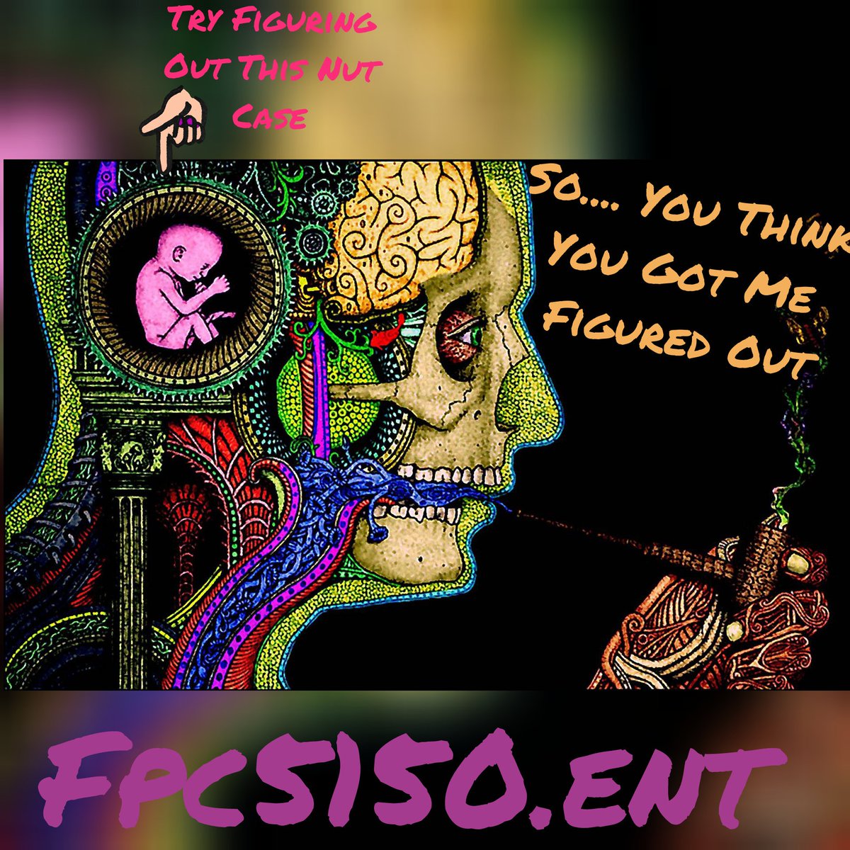 jfk_MUSIC_'s tweet photo. Come party with us FPC51/50.ENT #edmlifestyle #edmtampa #edmfamily  #trap #plurlife  #edm #edmnyc #edmlifestyle  #Edmworldwide  #edcBrazil https://t.co/UjVm8Tpjvc