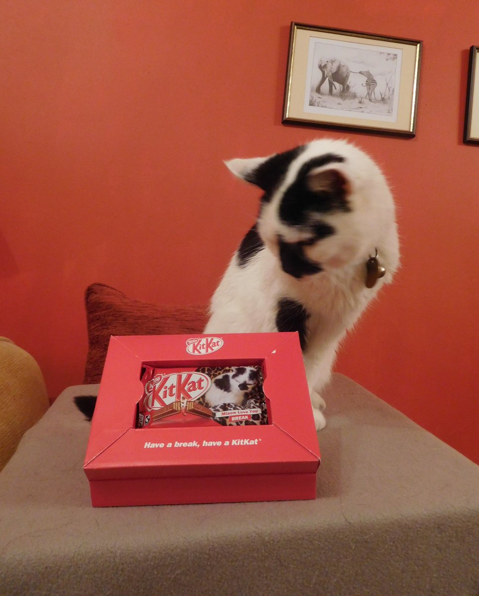 moyothahabu's tweet photo. I've always known #MyKitkat is a little star! https://t.co/EtEVvrFwaY