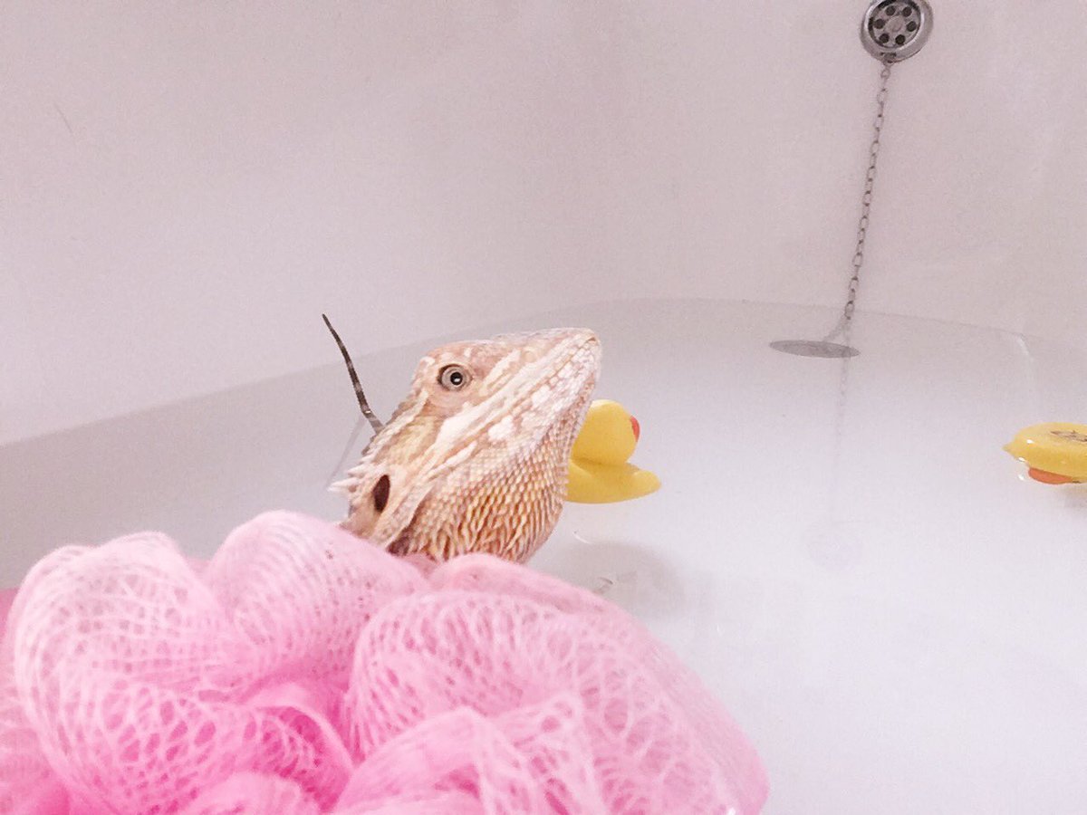 Lozzzx0's tweet photo. My bby boy having a bath time photoshoot xxx https://t.co/KkYxxcvG8b
