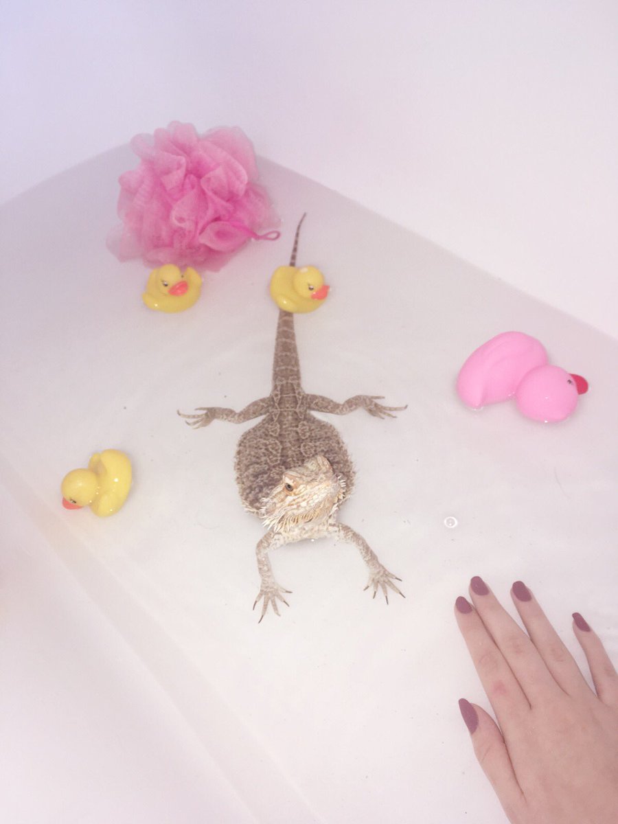 Lozzzx0's tweet photo. My bby boy having a bath time photoshoot xxx https://t.co/KkYxxcvG8b