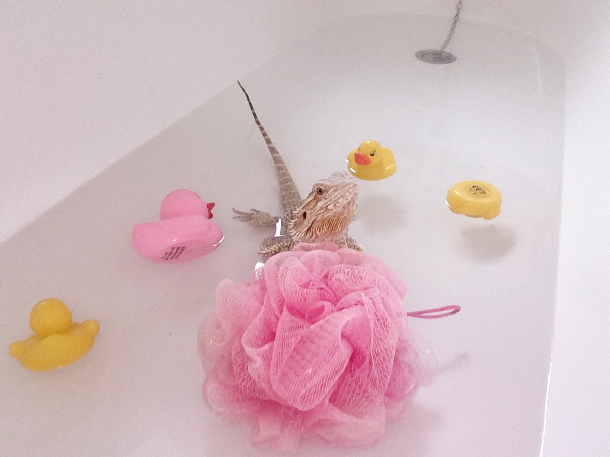 Lozzzx0's tweet photo. My bby boy having a bath time photoshoot xxx https://t.co/KkYxxcvG8b