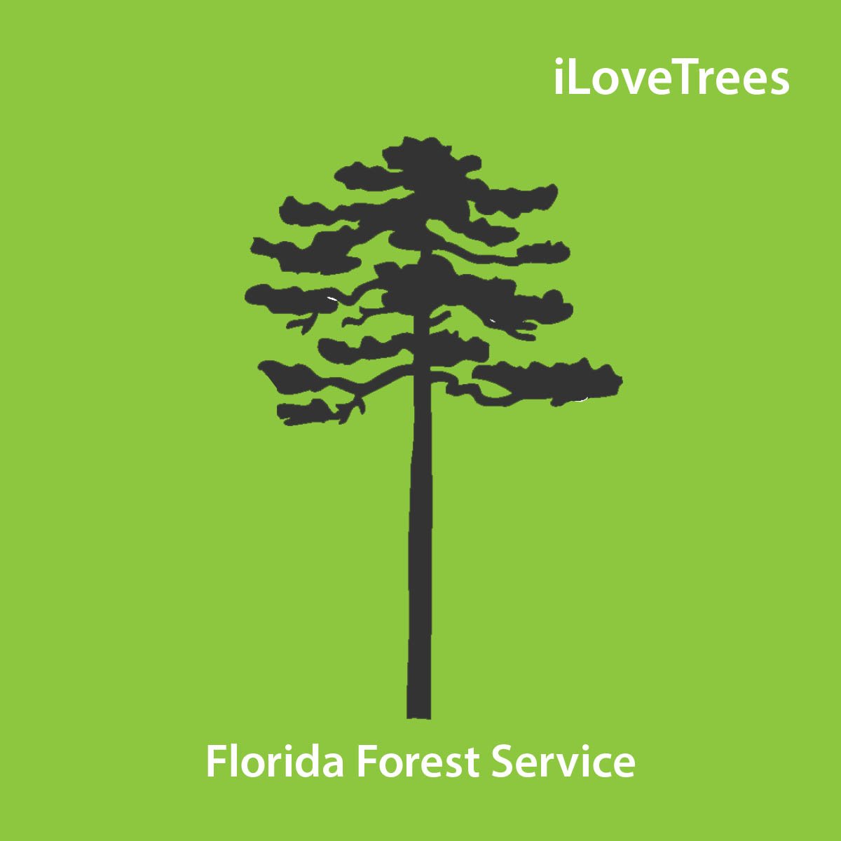 FLForestService's tweet photo. We manage more than 1.1 million acres of public forest land in FL. Visit one of our state forests today! https://t.co/8aBzv3b07r #FLTrees https://t.co/TigVdwrGNt