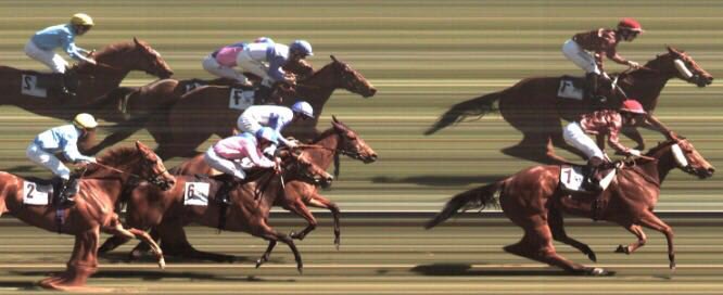 Ecurie Simone Brogi (@ecuriebrogi) on Twitter photo 2017-03-19 14:07:18 Fongani ( Siyouni @AgaKhanStuds ) scores with authority in Spain in her seasonal debut for Mr Jathiere and @Foulon64Foulon @TurfZH Fongani ( Siyouni @AgaKhanStuds ) scores with authority in Spain in her seasonal debut for Mr Jathiere and @Foulon64Foulon @TurfZH