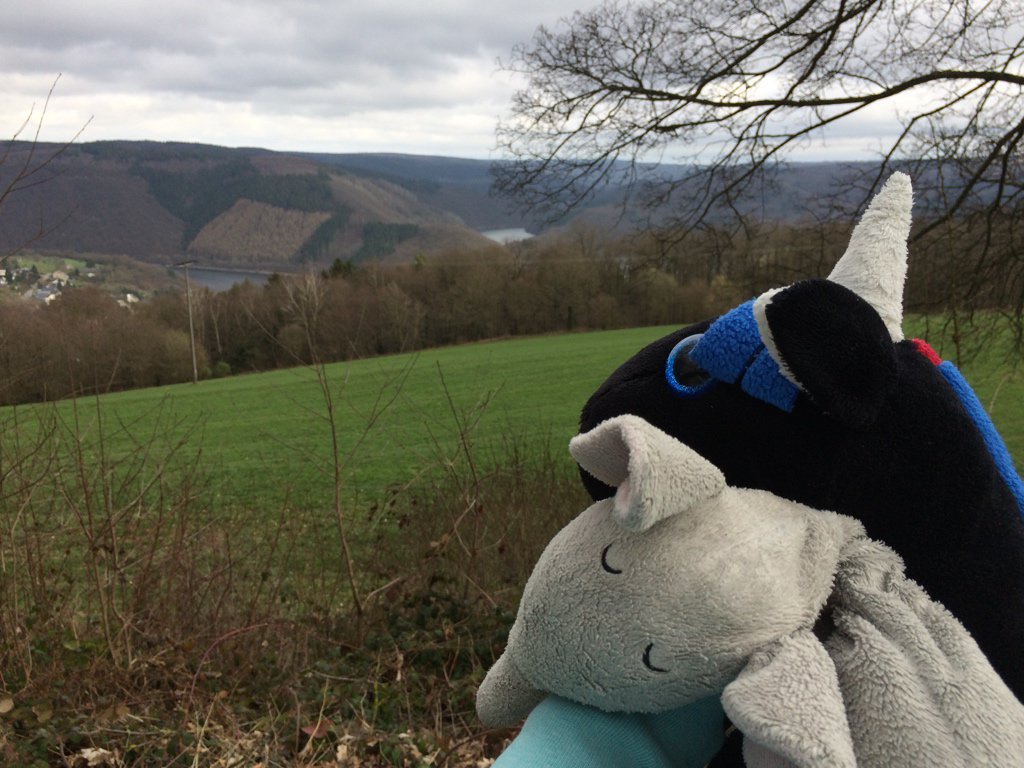 flauschefant's tweet photo. Röhsefant! https://t.co/UfY3PXflfa