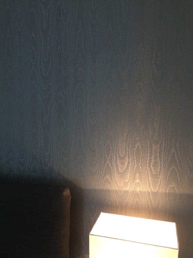 pwpainting1's tweet photo. @Muraspec first time I've hung muraspec in few years https://t.co/ySkLKQjArU