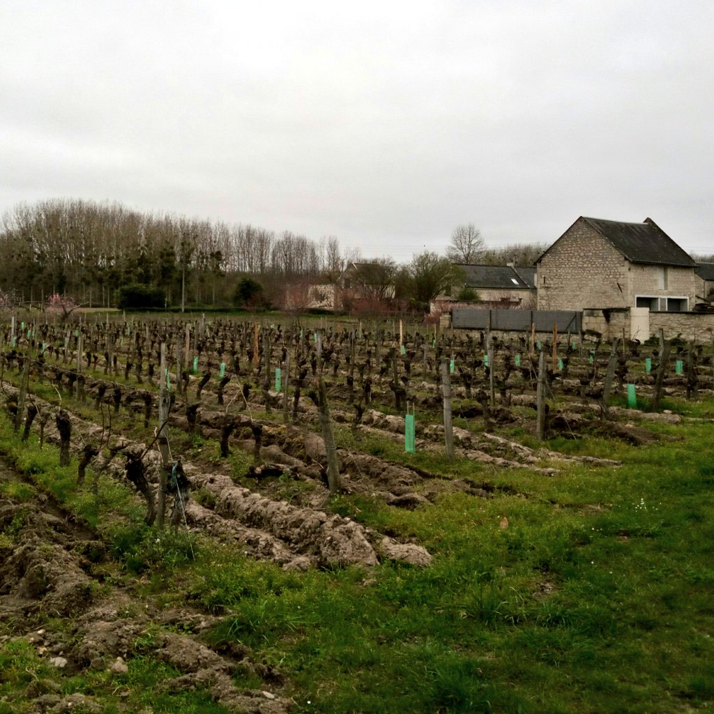 OpenWines.eu tweet media