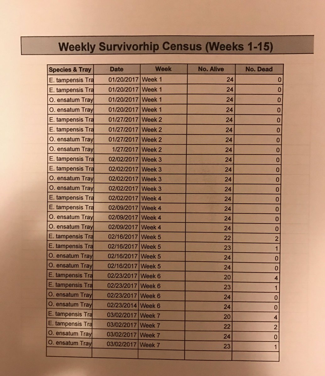 Here are the numbers of dead orchids throughout 7 weeks. <a href="/millionorchid/">MillionOrchidProject</a>