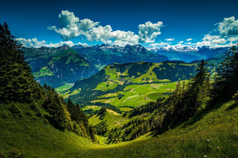 Atop the Stanserhorn in the Swiss Alps | Photography by ©Matthew Szwedowski