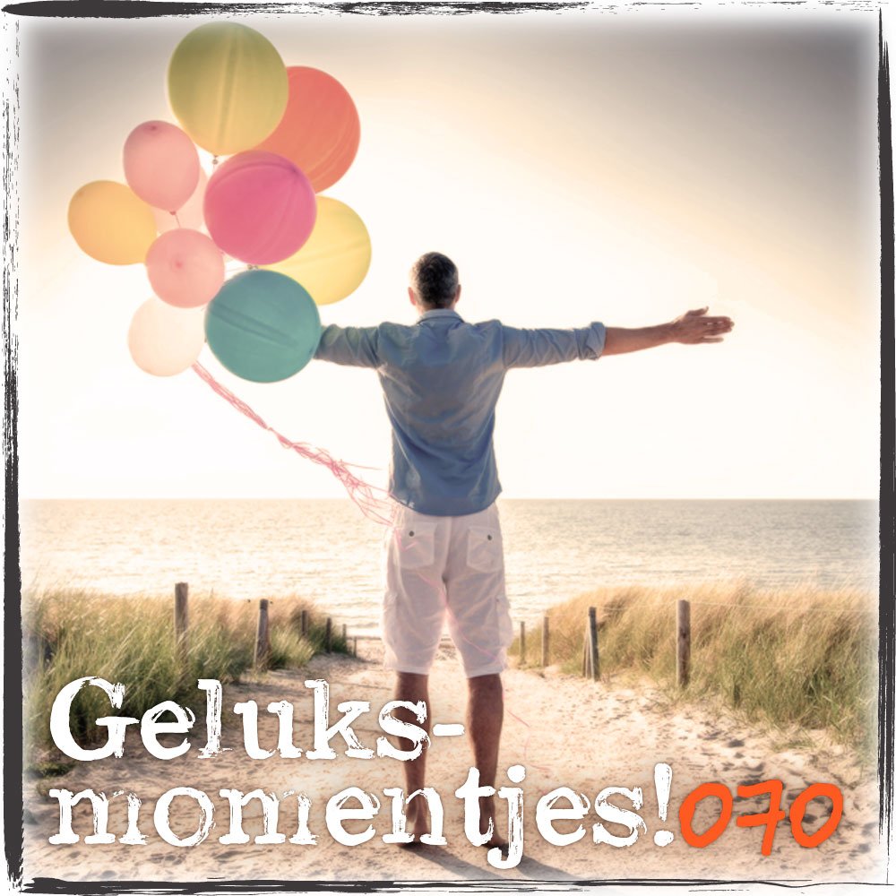 cccompany_070's tweet photo. Sander’s geluksmomentje: De Haagse Ooievaar - Gastschrijver Sander van der Geer van @Sandaah007 vertelt. https://t.co/ETIocMisis #pretecho https://t.co/QHv0Qlm5J5
