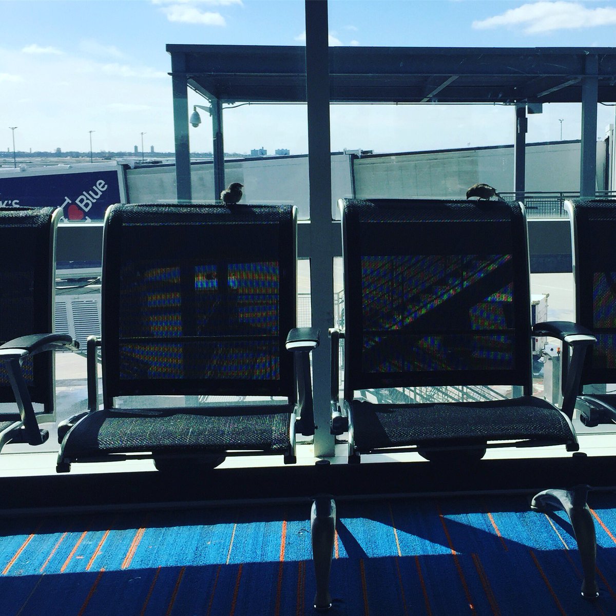 sengineland's tweet photo. I just love meeting interesting folk in airports. 🐤🐤 #SMX, here we come. https://t.co/dCf8fs9w5I